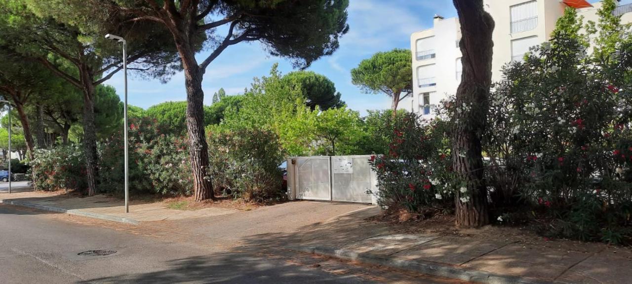 T 2 Mottland 300 M Plage La Grande Motte Exterior photo